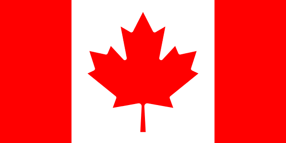<p> </p>