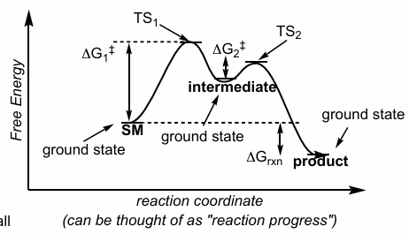 <ol><li><p>Ground state: relative energy minima on a free energy diagram; includes all starting materials, intermediates, and products</p></li><li><p>Transition state (TS): relative energy maxima on a free energy diagram; a single transition connects each pair of ground states</p></li><li><p>Activation energy (delta G<sup>double dagger</sup>): difference in energy btwn ground state and transition state, or amount of energy needed for a step to occur</p></li></ol><ul><li><p>overall activation energy = amount of energy needed for overall reaction to occur</p></li><li><p>transition state theory</p></li></ul><p></p>