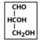 <p>glucose, mannose, galactose, etc</p>