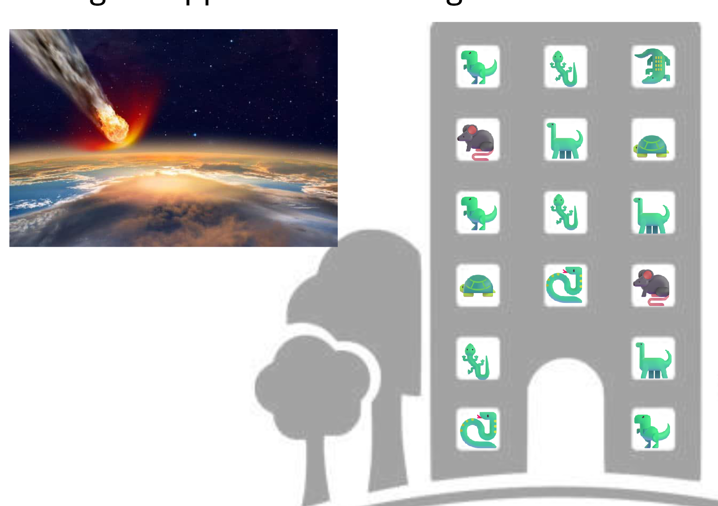 <ul><li><p><span>Mass extinctions reset ecosystems and open ecological niches, providing the opportunity for surviving species to diversify and adapt.</span></p></li><li><p><span>Ex: Open up niches</span></p></li></ul><p></p>