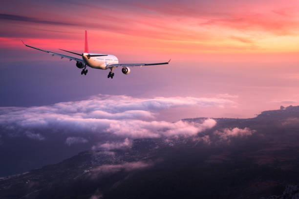 <p>flight </p>