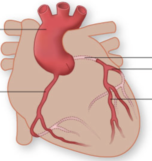 <p>bottom L arrow</p>