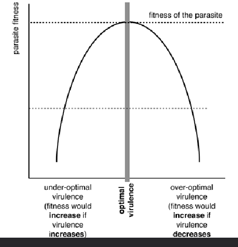 <p>Optimal virulence example Influenza</p><p>MODERATE virulence x HIGH shedding x SHORTER duration = OPTIMAL </p>
