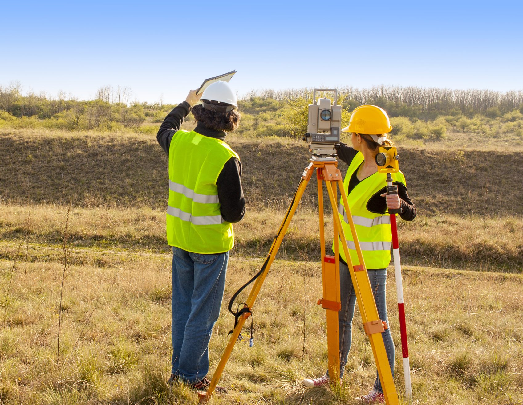 <p>surveyor</p>