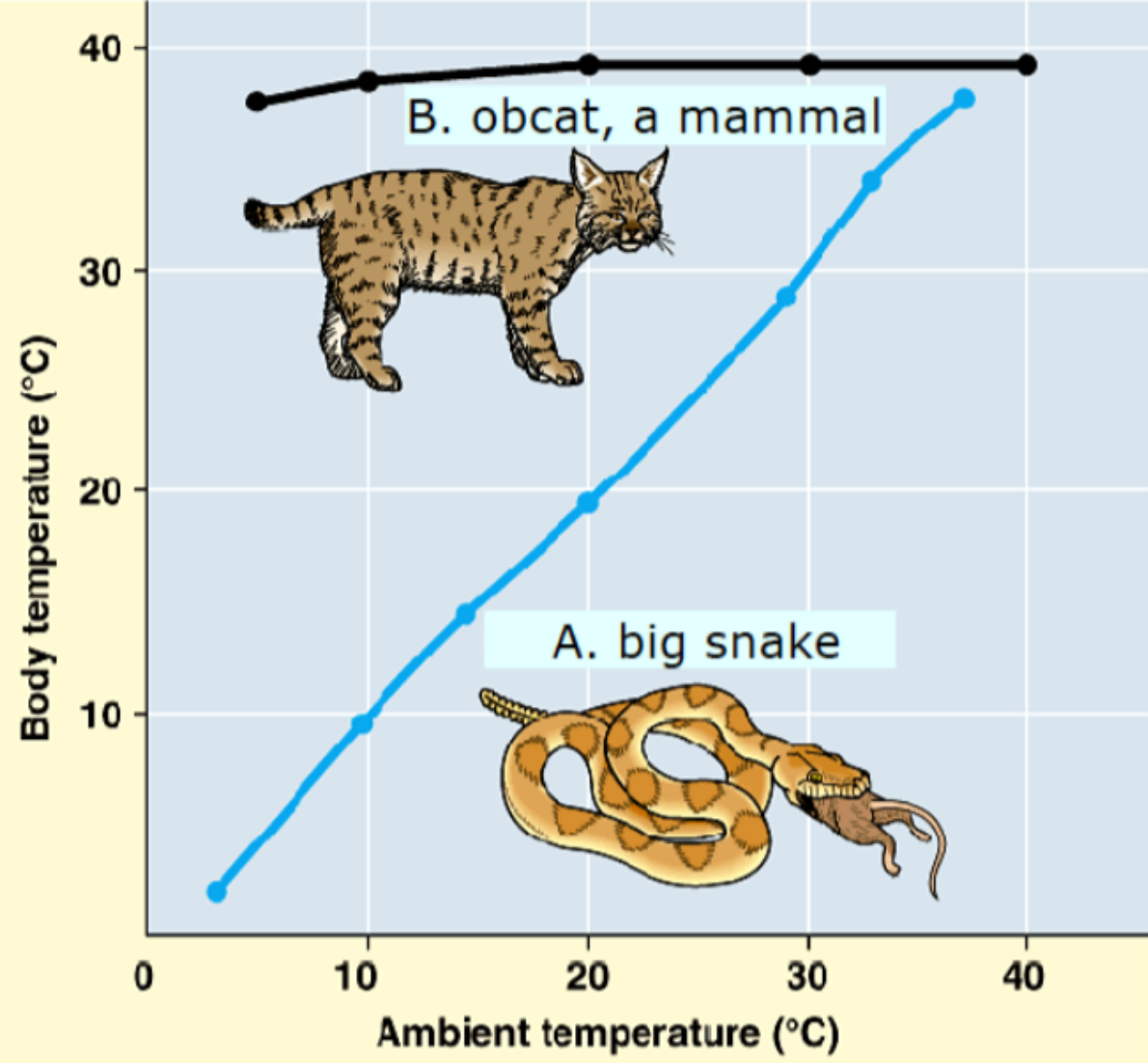 <p>Which is the temperature conformer and which is the regulator?</p>
