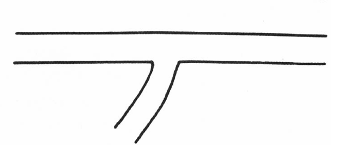 <p>hyphae without cross walls</p>