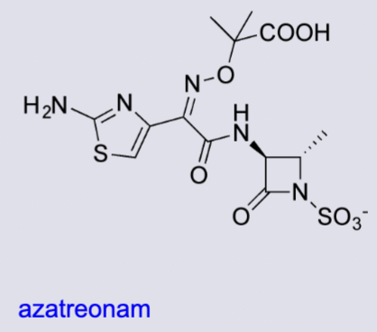 <p>single beta lactam ring</p><ul><li><p><mark data-color="yellow" style="background-color: yellow; color: inherit;">negative charge </mark>given by the <mark data-color="yellow" style="background-color: yellow; color: inherit;">sulphonic group</mark></p></li><li><p>the only class of beta lactams that <mark data-color="yellow" style="background-color: yellow; color: inherit;">doesn’t have a fused ring</mark></p></li><li><p>narrow spectrum but active against P. aeruginosa</p></li></ul><p></p>