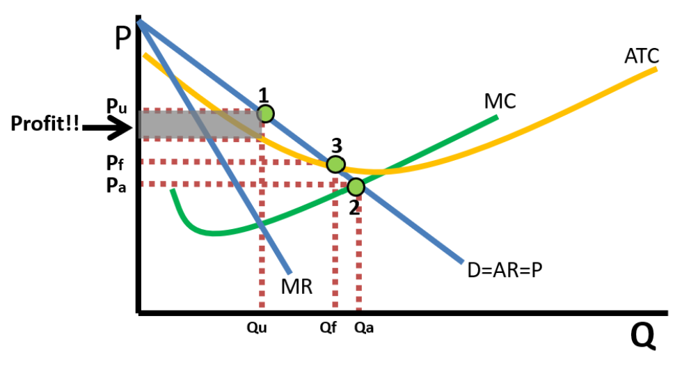 <p><span>1.The monopoly price and quantity Pu and Qu when if it is unregulated.</span><br><span>2.The allocatively efficient price and quantity. A government price ceiling here would cause the firm to incur a loss.</span><br><span>3. Fair return price. A price ceiling here would still be inefficient, but there would be less deadweight loss and the firm would break even so it would continue to operate in the long run.</span></p>