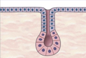 <p>What is this?</p>