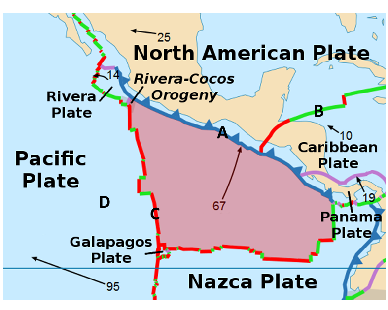 <p><span>The image above shows the Cocos plate shaded in red. The red lines indicate rift zones while the blue triangles are pointed in the direction of the plate movement. Which letter indicates a transform boundary?</span></p>