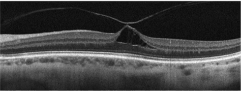 <p>Describe the pic </p>