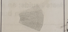 <p>used as a platform for viewing objects under the microscope</p>