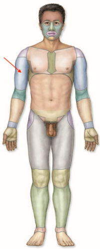 <p>what is this section called?</p>