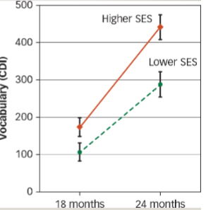 <p>Before 18 months, children’s language knowledge are relatively the same. But after, higher SES children’s language knowledge increases and lower SES is significantly lower</p>