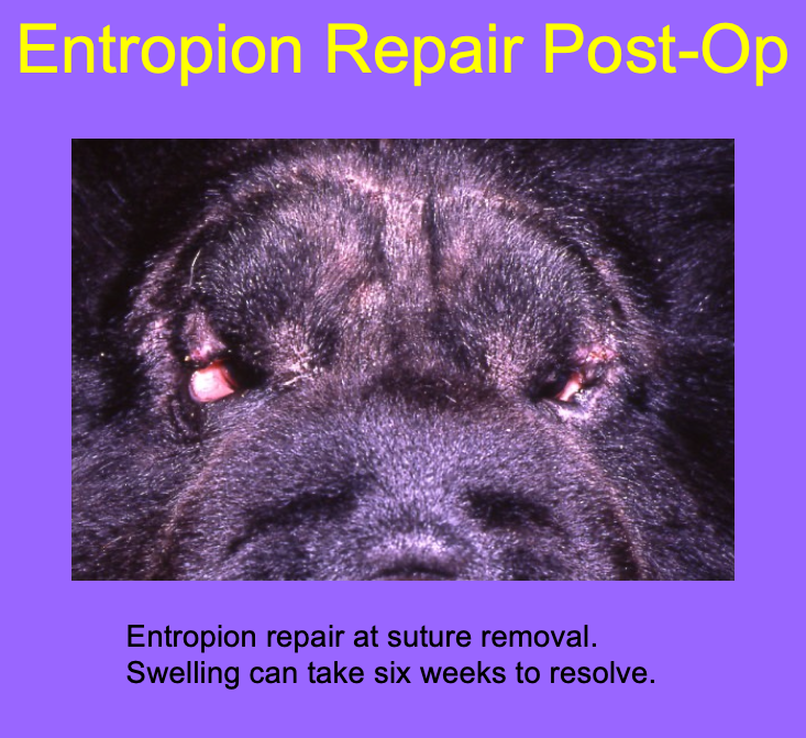 <p>can take up to 6wks to resolve.</p>