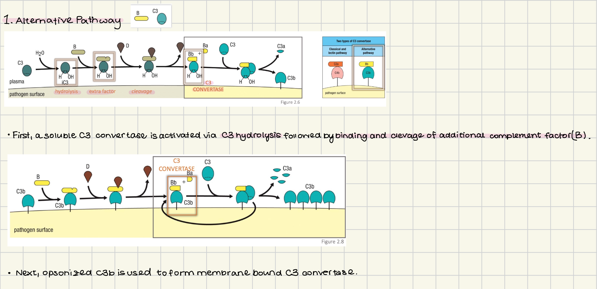 knowt flashcard image