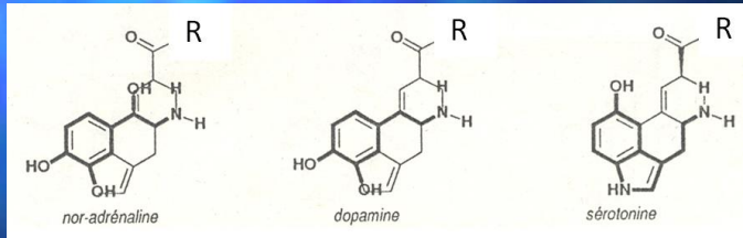 <p>Têm semelhança estrutural com as aminas biogénicas, que também têm semelhança estrutural com a noradrenalina, seratonina e dopamina. Assim vão ter efeito agonista nestas.</p><p>Ação principal agonista nos recetores adrenérgicos alfa (noradrenalina), dopaminérgicos e seratoninérgicos.</p>