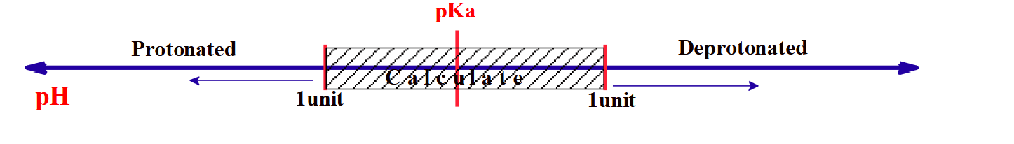 <ul><li><p><span>If pH is one unit or more below the pKa, the group is fully protonated</span></p></li><li><p><span>If pH is one unit or more higher than pKa, the group is fully deprotonated</span></p></li><li><p><span>If pH is equal to pKa, the group is 50% deprotonated and 50% protonated</span></p></li><li><p><span>If pH is less than one unit away from pKa, a calculation may be needed to determine the exact state</span></p></li></ul><p></p>