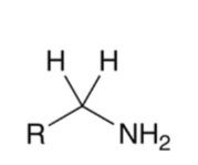 <p>primary amine</p>