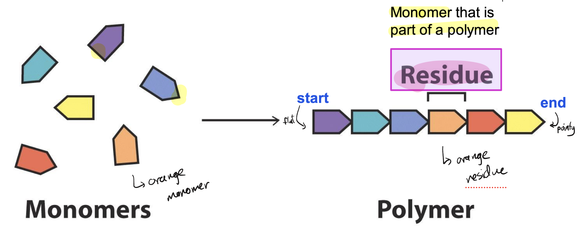 <p>Residue: monomer inside chain. Monomer on its own will behave differently as it does not have covalent bonds/linkages found on residues</p>