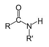 <p>-amide</p>