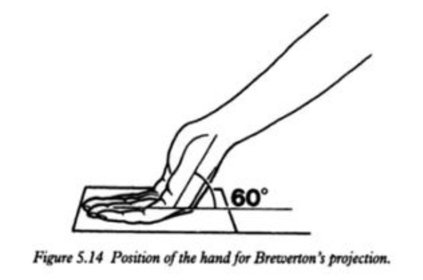 <p>60 degrees</p>