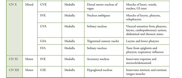 <p>gse</p><p>motor</p><p>tongue circum around lip</p>