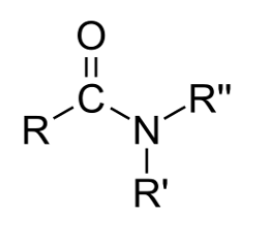 <p>C(=O)NH</p><p>CONH2</p><p>polar</p>