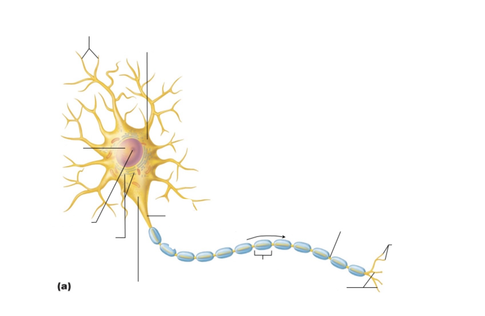 <p><a target="_blank" rel="noopener noreferrer nofollow" class="link" href="https://assets.knowt.com/user-attachments/5c6dbbcf-1720-435b-9d94-18a73c6a0301.jpg" data-prevent-progress="true">https://assets.knowt.com/user-attachments/5c6dbbcf-1720-435b-9d94-18a73c6a0301.jpg</a></p>