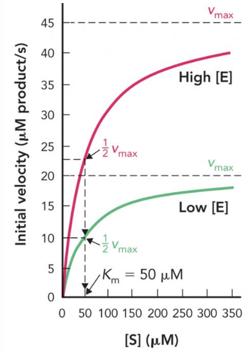 <p>The value of Km is defined as the (1) __________ concentration at which the reaction rate is 1/2 vmax; a low value of Km means that an enzyme has (2) _________ catalytic activity at a (3) ________ substrate concentration.</p>
