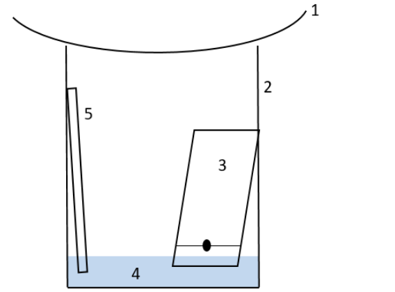 term image