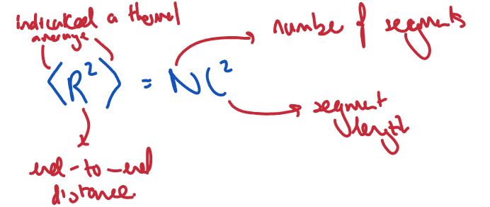<p>Direction of each segment is random relative to the previous. No enthalpic contributions.</p><p></p>