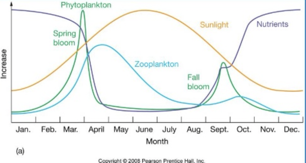 <p>In the mid-latitude (i.e., temperate) ocean regions, a large phytoplankton bloom typically occur in the spring because ________.</p>