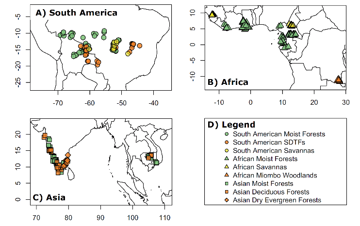 <p>Species inventory from tropical lowlands:</p>