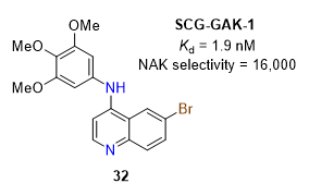 <p>With this highly selective inhibitor in hand, the role of GAK kinase activity in cells could be investigated, using prostate cancer as an illustrative example. Previous studies linked GAK to prostate cancer through knockdown of the entire protein, thereby eliminating all of its functions.<sup>111</sup> <strong>In contrast, selective inhibition of the GAK kinase domain alone was sufficient to suppress prostate cancer cell growth</strong>. This demonstrates that the catalytic activity of GAK is required for prostate cancer cell proliferation and confirms the inhibitor’s on-target activity.<sup>110</sup></p>