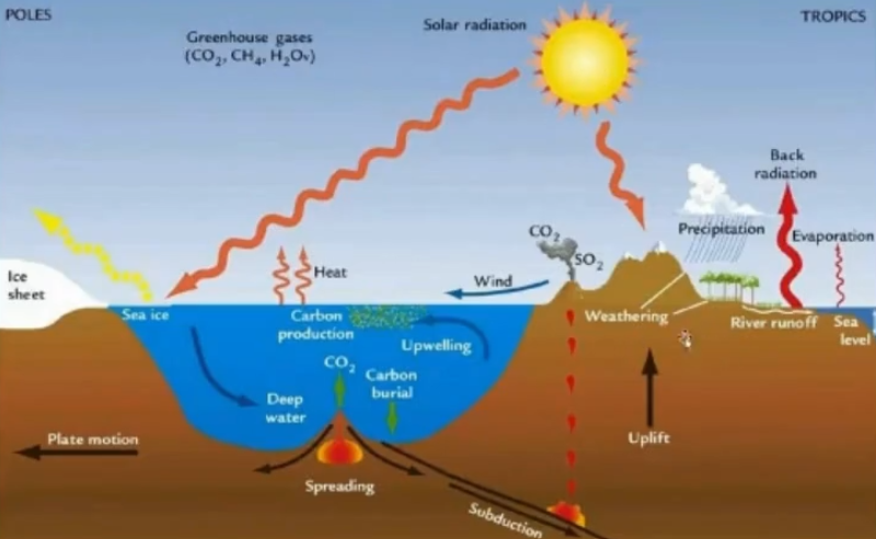 <ul><li><p>The major components: air, water, ice, land, and vegetation.</p></li><li><p>There’s technically a sixth one: humans.</p></li></ul><p></p>