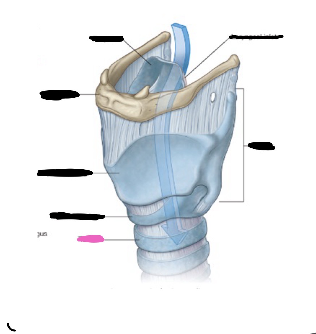 knowt flashcard image