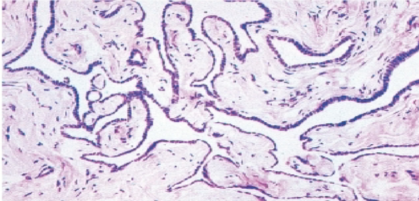 <p>What is this?</p>