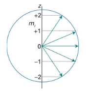 <p>why is this diagram of angular momentum direction incorrect? use ℓ=2 and m<sub>ℓ</sub>=0 to explain</p>