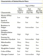 <p>type IIb, fast glycolytic</p>