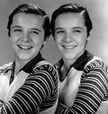 <p>Twin </p>