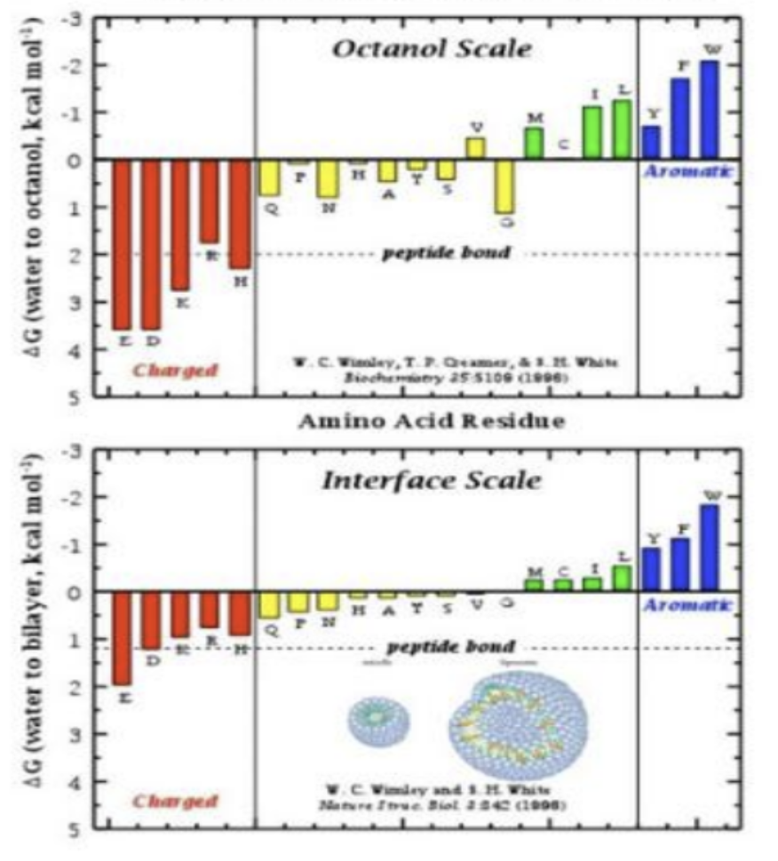 <p>Añade una tercera fase consistente en liposomas suspendidos en agua para evaluar la afinidad de los péptidos por ubicarse y permanecer de forma estable en la propia interfase de la bicapa lipídica</p>