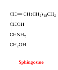 <p>sphingolipids</p>