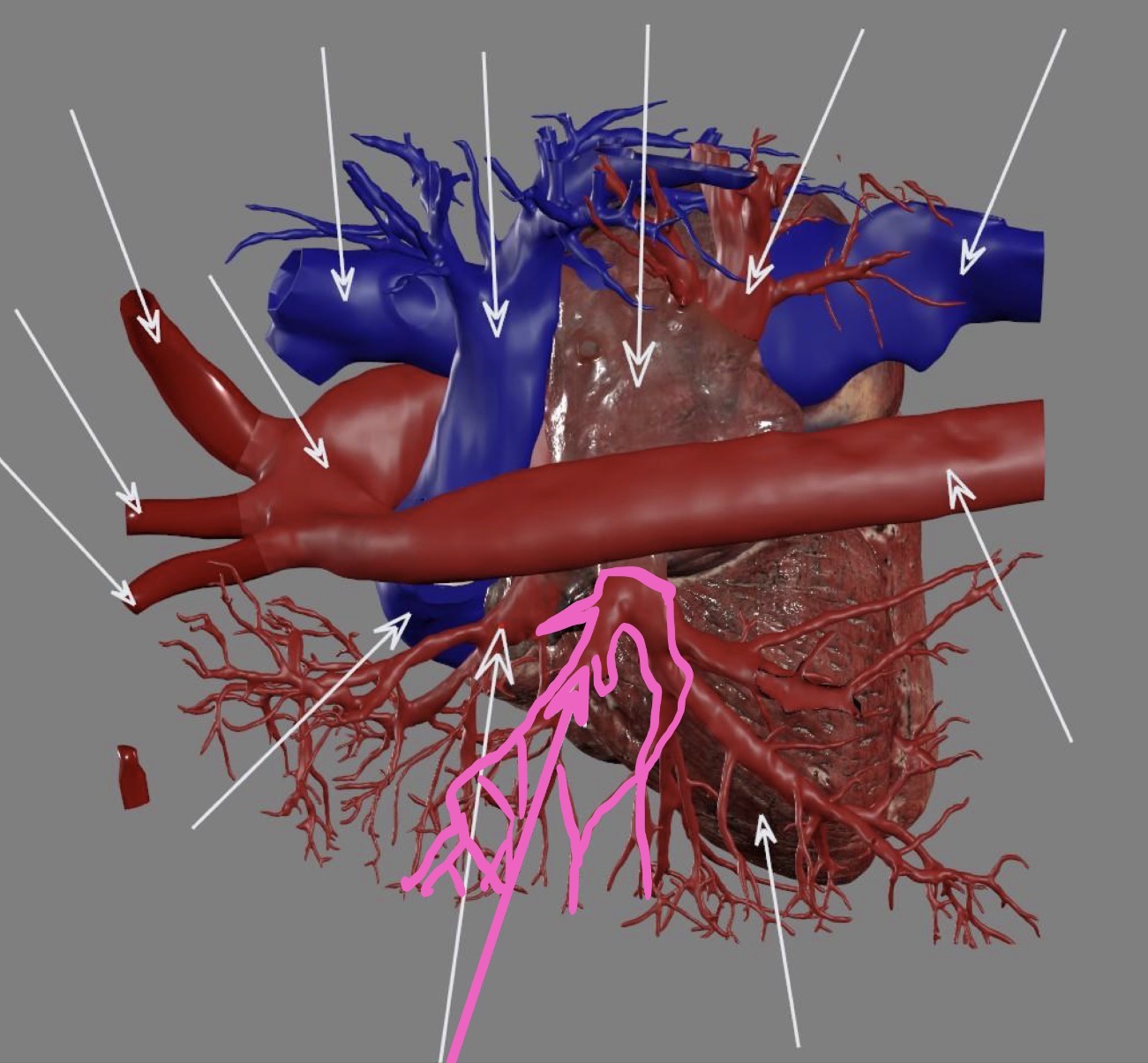 <p>What’s the highlighted area?</p>