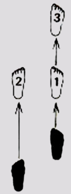 <p></p>
