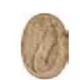 <p>Identify</p>