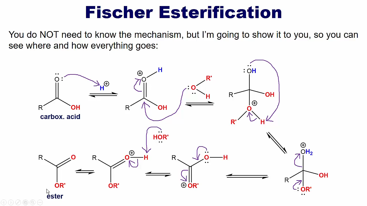 <p>carboxylic acid into Ester</p><p></p><p>+ H+ and HOR</p>