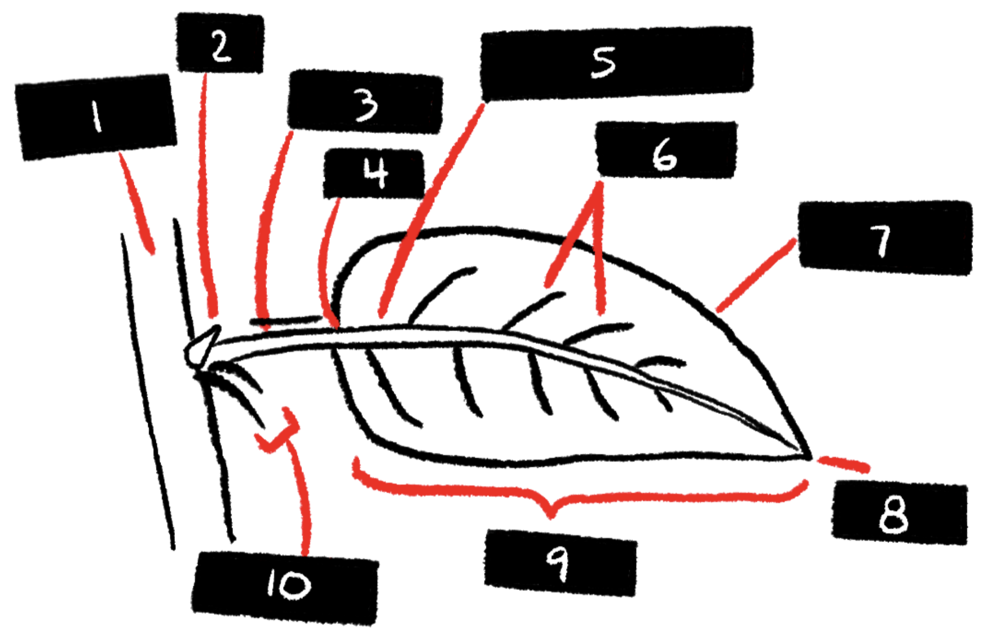 <p>What is 5?</p>