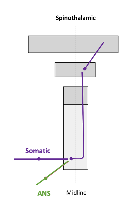 <p>[Image]</p>