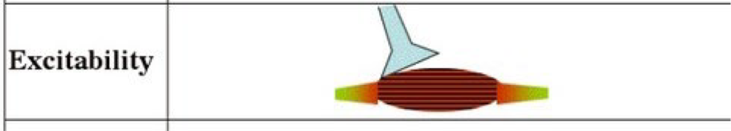 <p>Ability of a muscle to respond to chemical signals, stretch, and electrical charges across the plasma membrane → this characteristic enables muscle fibers to receive stimuli and initiate a contraction</p>